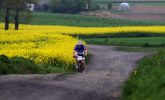 /media/2014-05-06-15-52-58/IMG_4841.jpg
