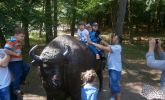 /media/2015-07-17-10-05-20/018_Wycieczka_do_ZOO.JPG