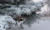 /media/2026-01-08-21-20-24/IMG_5178.jpg