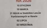 /media/2026-01-17-17-31-42/mg15.jpg