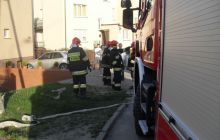media/aktu_2899/Aktu_2899-SDC11021.JPG