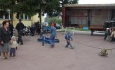/media/aktu_2943/Aktu_2943-024d.jpg