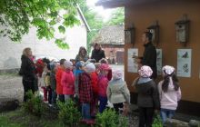 media/aktu_2962/Aktu_2962-SDC10117.JPG