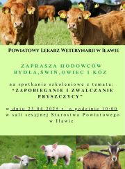 resources/banner/pryszczyca.JPG
